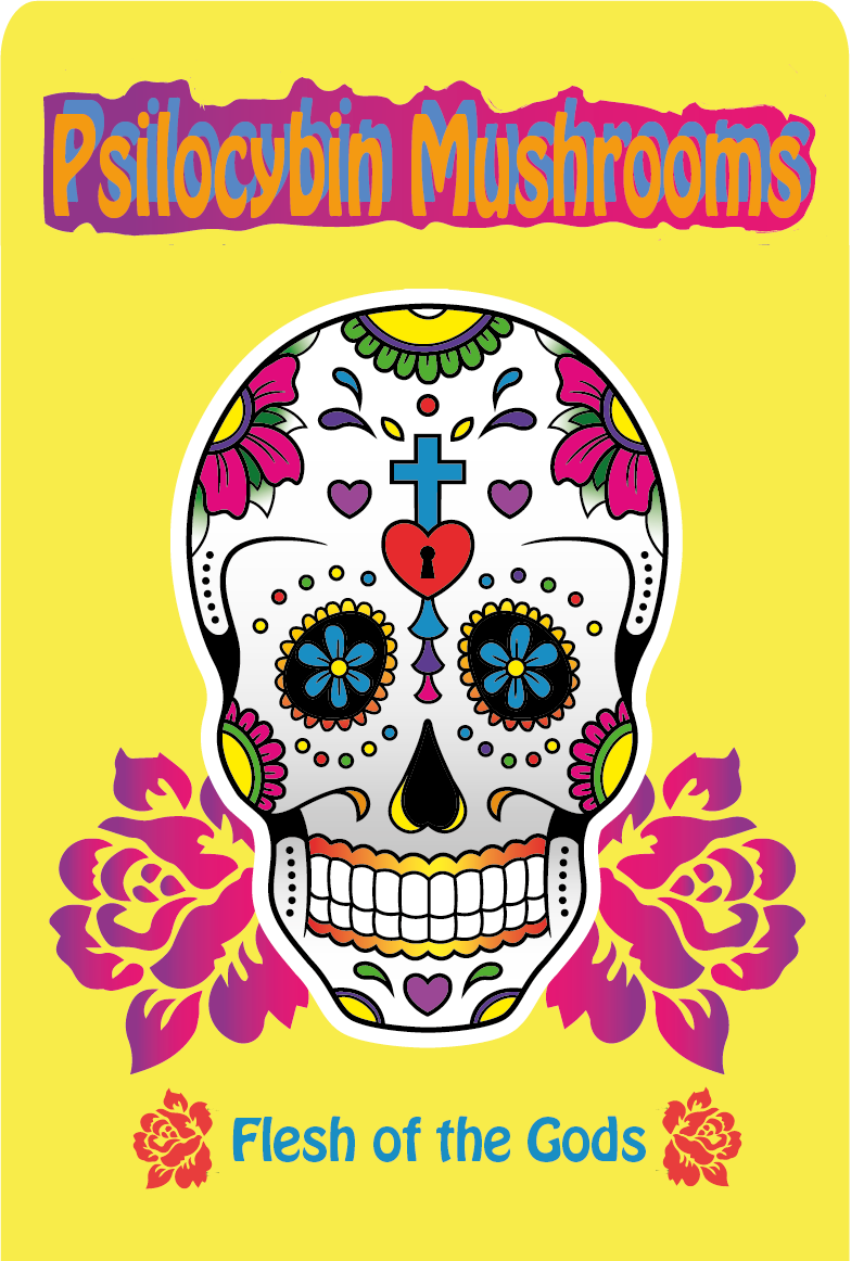 Hongos de psilocibina y meditación